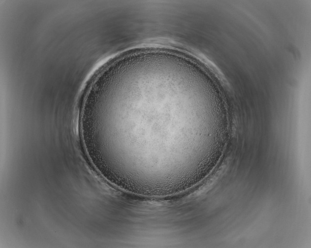 X0000113021224200908271426