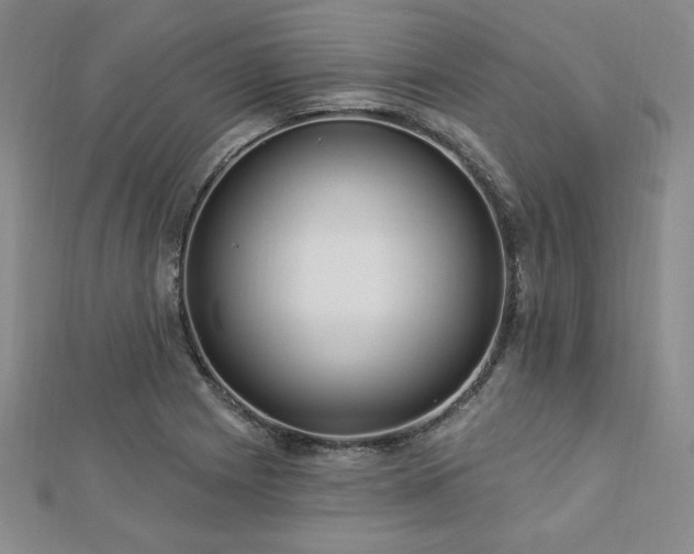 X0000113021225200908271426