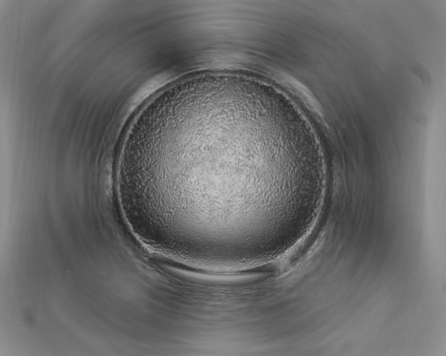 X0000113021226200908271426