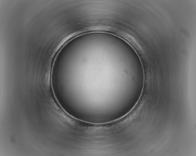 X0000113021228200908271426