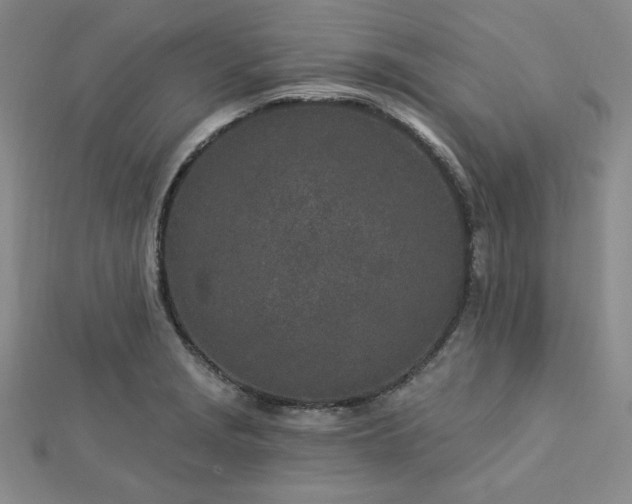 X0000113021229200908271426