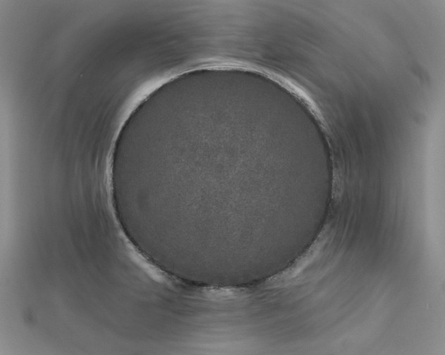 X0000113021231200908271426