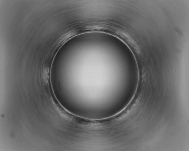 X0000113021233200908271426