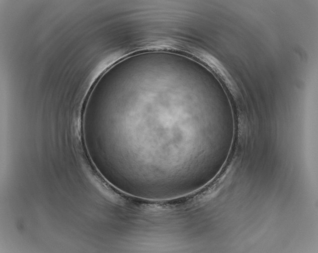 X0000113021234200908271426
