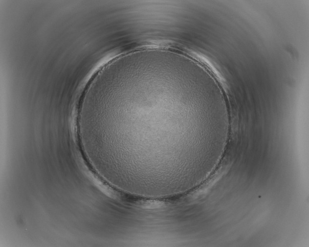 X0000113021235200908271426