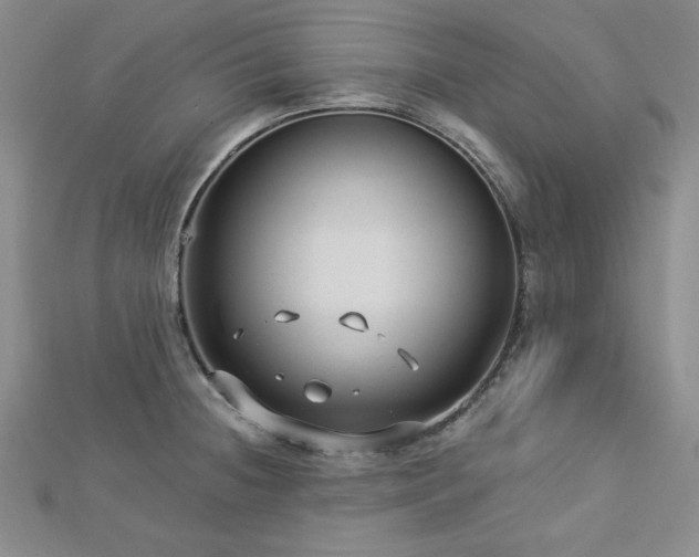 X0000113021236200908271426