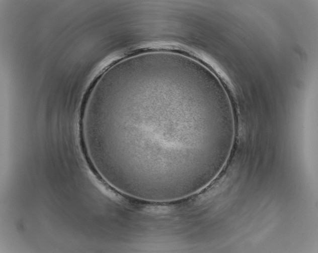 X0000113021237200908271426