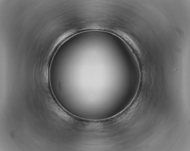 X0000113021238200908271427