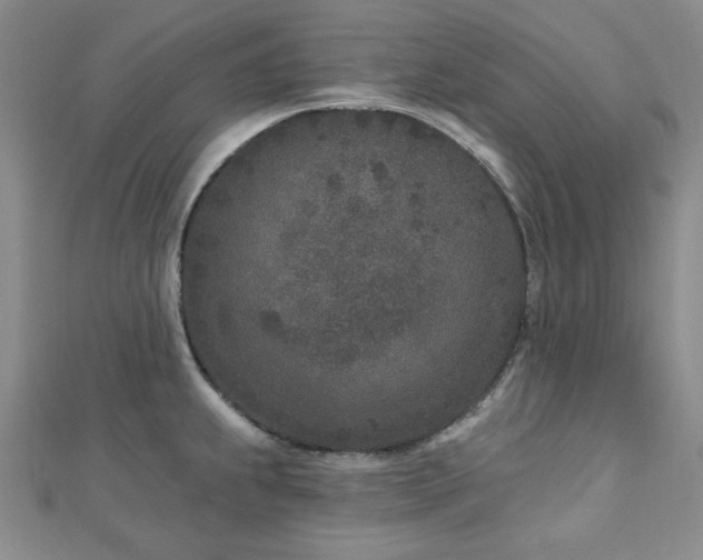 X0000113021239200908271427