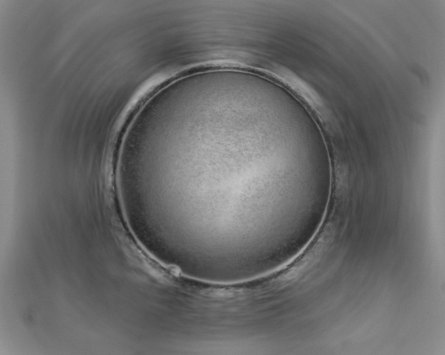 X0000113021240200908271427