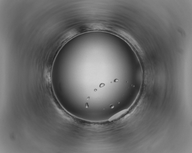 X0000113021241200908271427