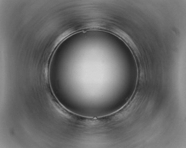X0000113021242200908271427