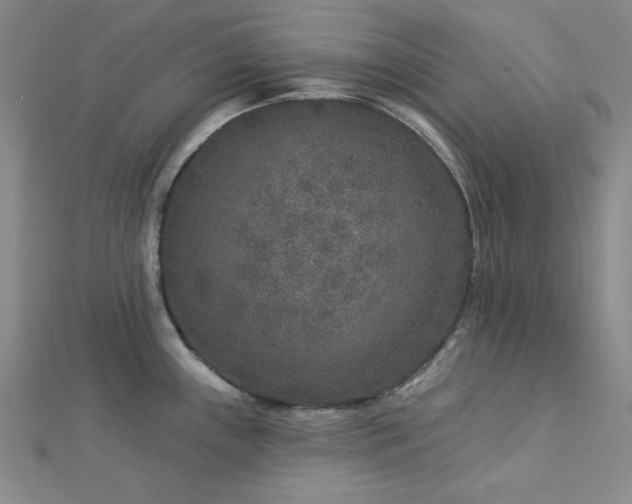 X0000113021243200908271427