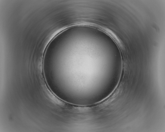 X0000113021244200908271427
