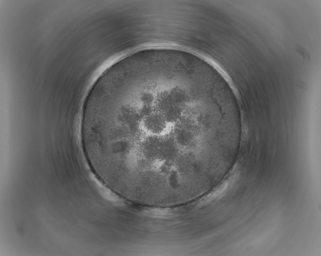 X0000113021245200908271427