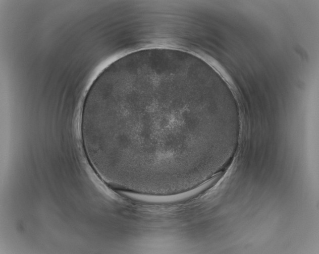 X0000113021246200908271427
