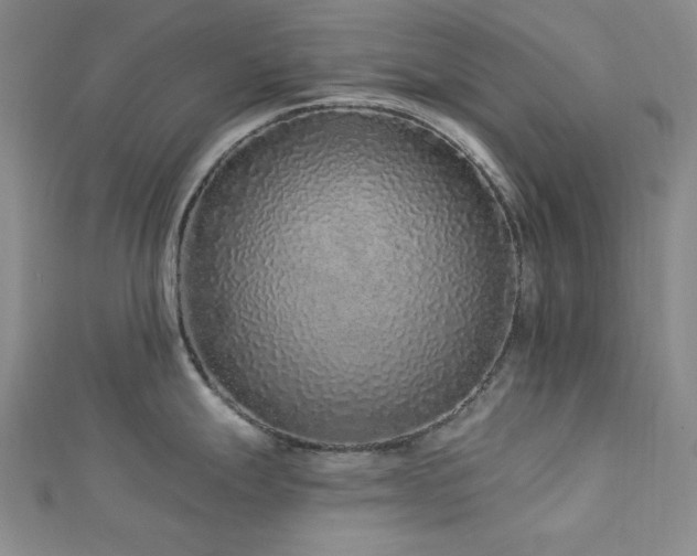 X0000113021247200908271427