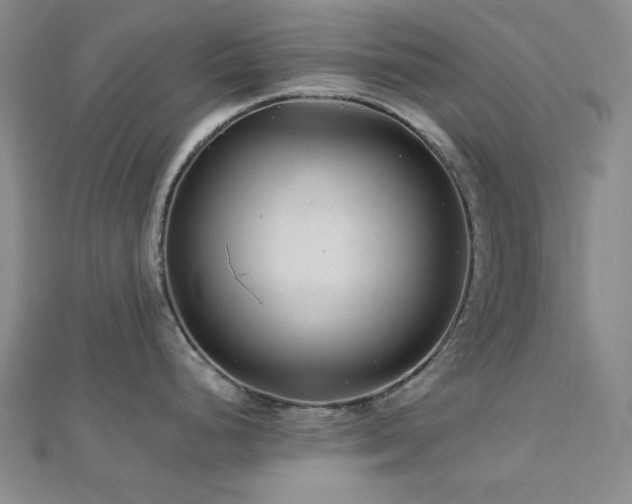 X0000113021248200908271427