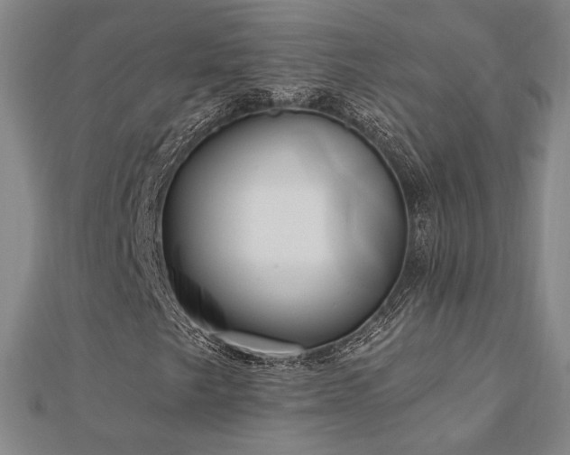 X0000113021249200908271426
