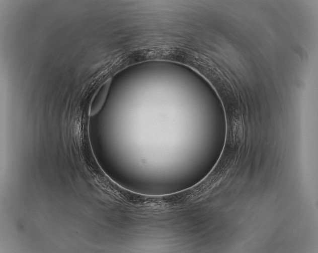 X0000113021250200908271426