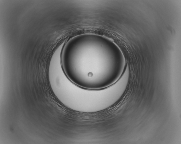 X0000113021252200908271426