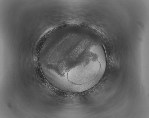 X0000113021254200908271426
