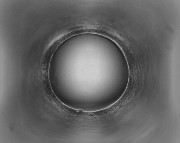 X0000113021255200908271426