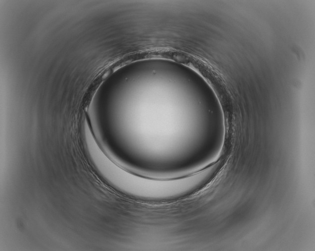 X0000113021257200908271426