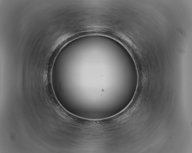X0000113021259200908271426