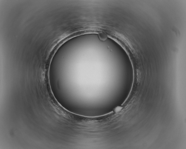 X0000113021260200908271426