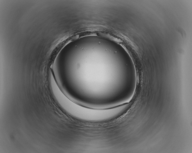 X0000113021261200908271426