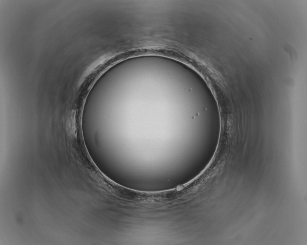 X0000113021262200908271426