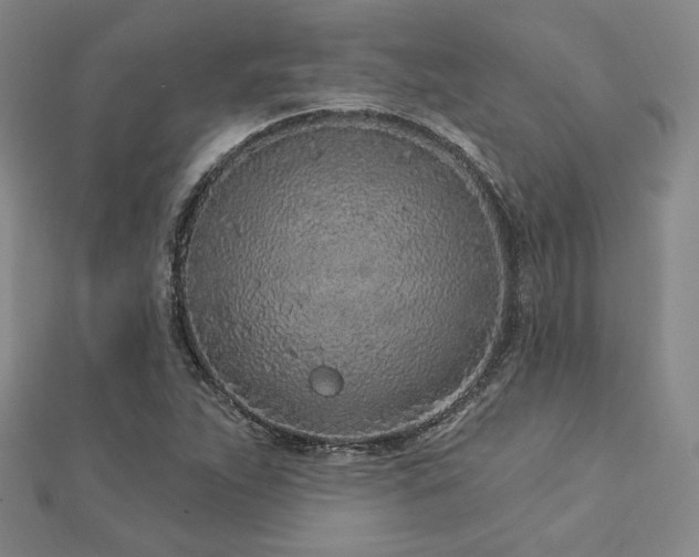 X0000113021263200908271426