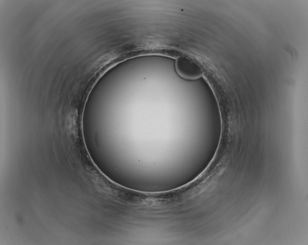 X0000113021265200908271426