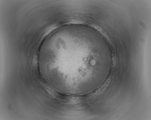 X0000113021266200908271426