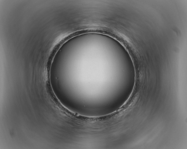 X0000113021267200908271426