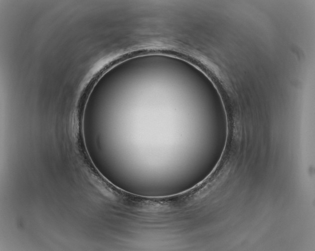 X0000113021270200908271426