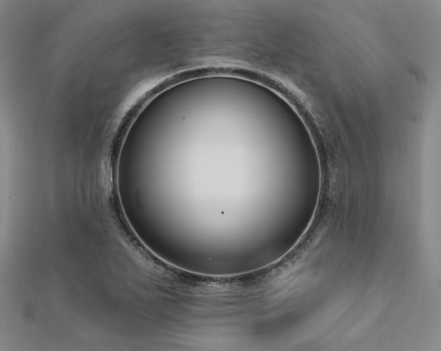 X0000113021271200908271426