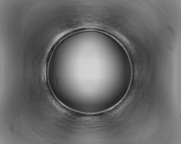 X0000113021272200908271426