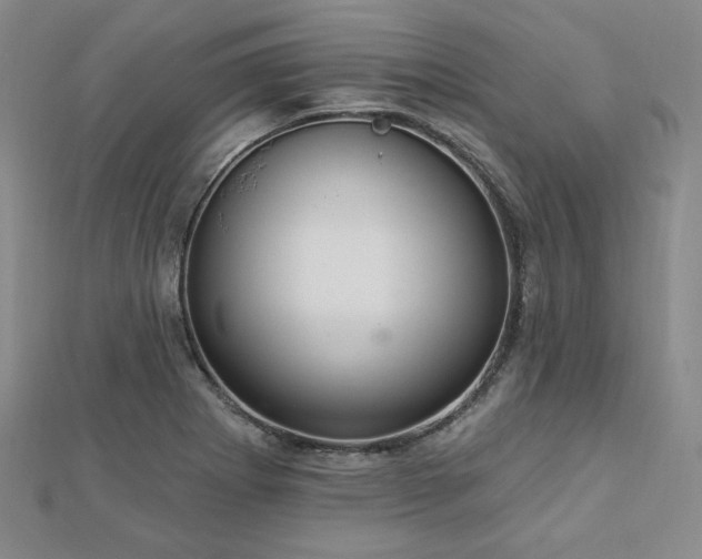 X0000113021273200908271426