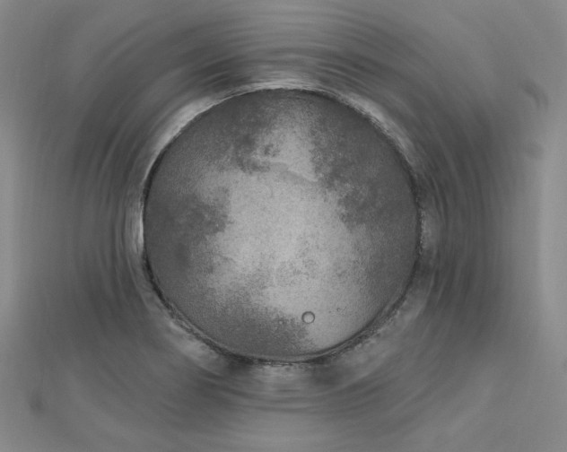 X0000113021274200908271426