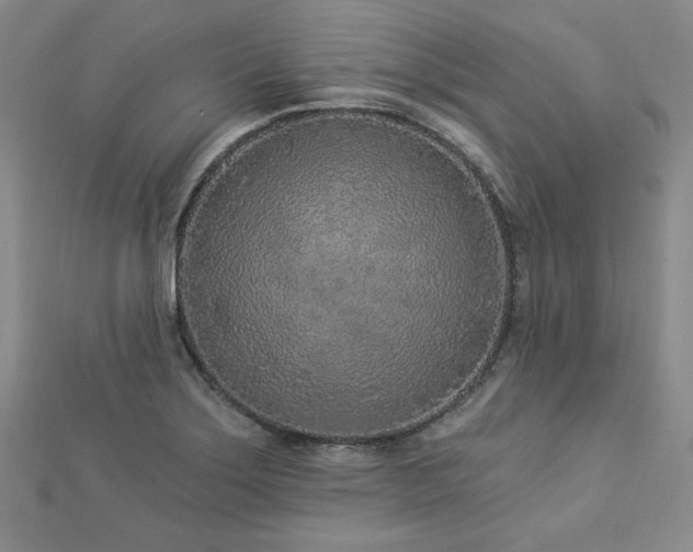 X0000113021275200908271426