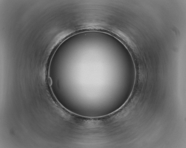 X0000113021277200908271426
