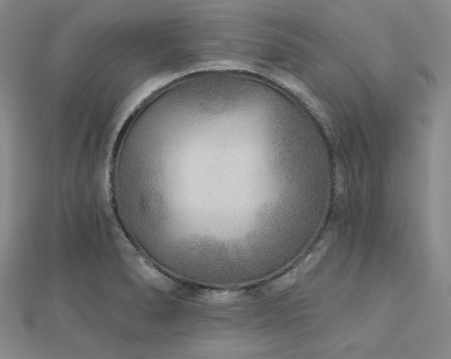 X0000113021278200908271426