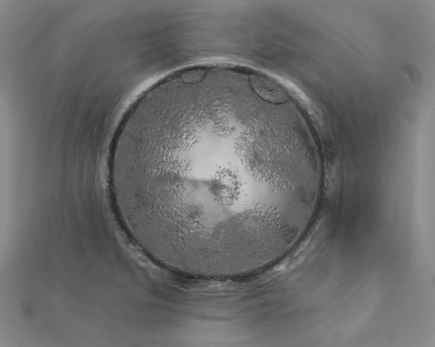X0000113021279200908271426