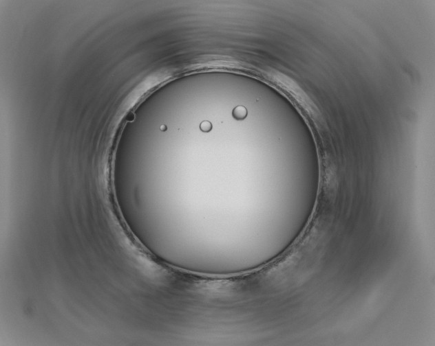 X0000113021282200908271426