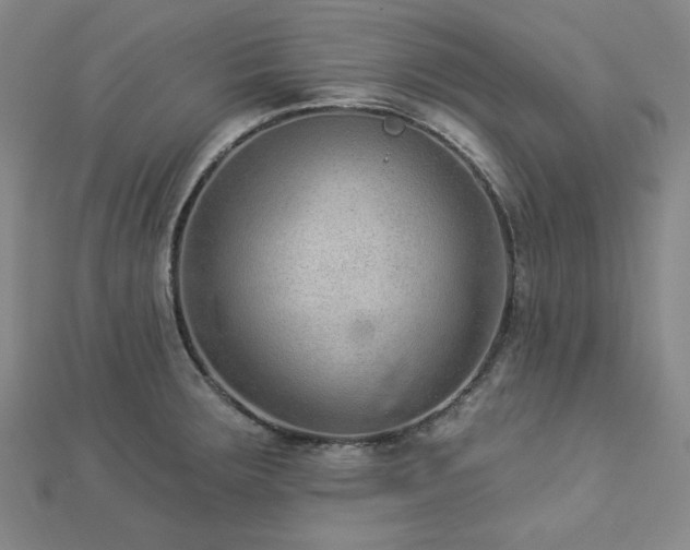 X0000113021283200908271426