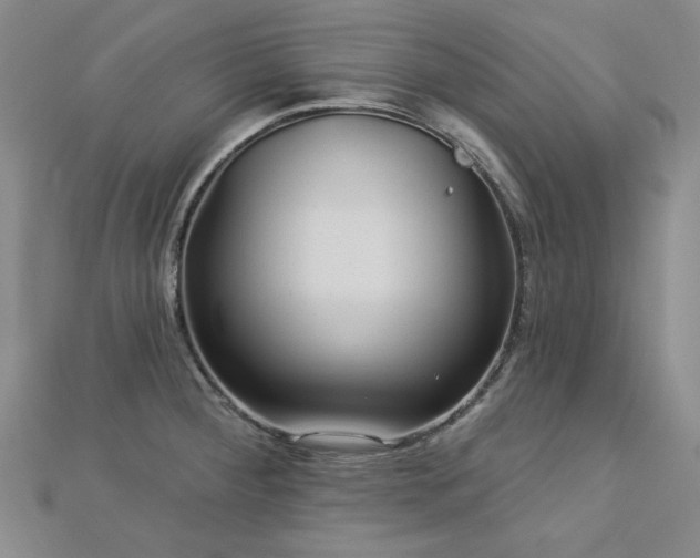X0000113021284200908271426