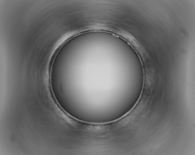 X0000113021286200908271426