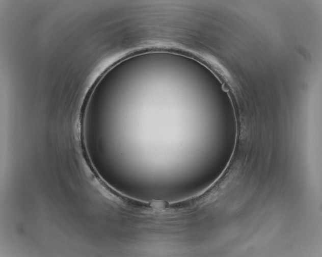 X0000113021287200908271426